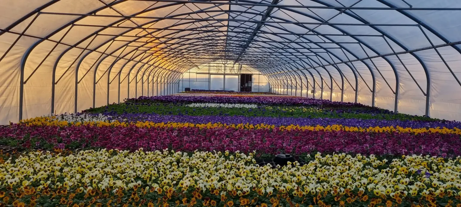 44f5cb1d eb1e 4ae4 95cd f320ae0eaf7d