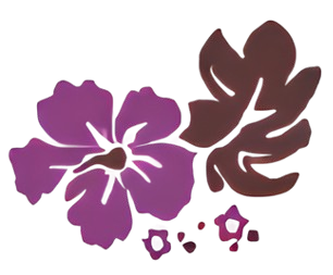 imgi 1 topp 1 Picsart AiImageEnhancer removebg preview