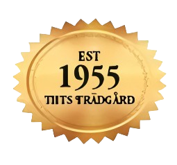 imgi 1 topp 1 1 Picsart AiImageEnhancer removebg preview